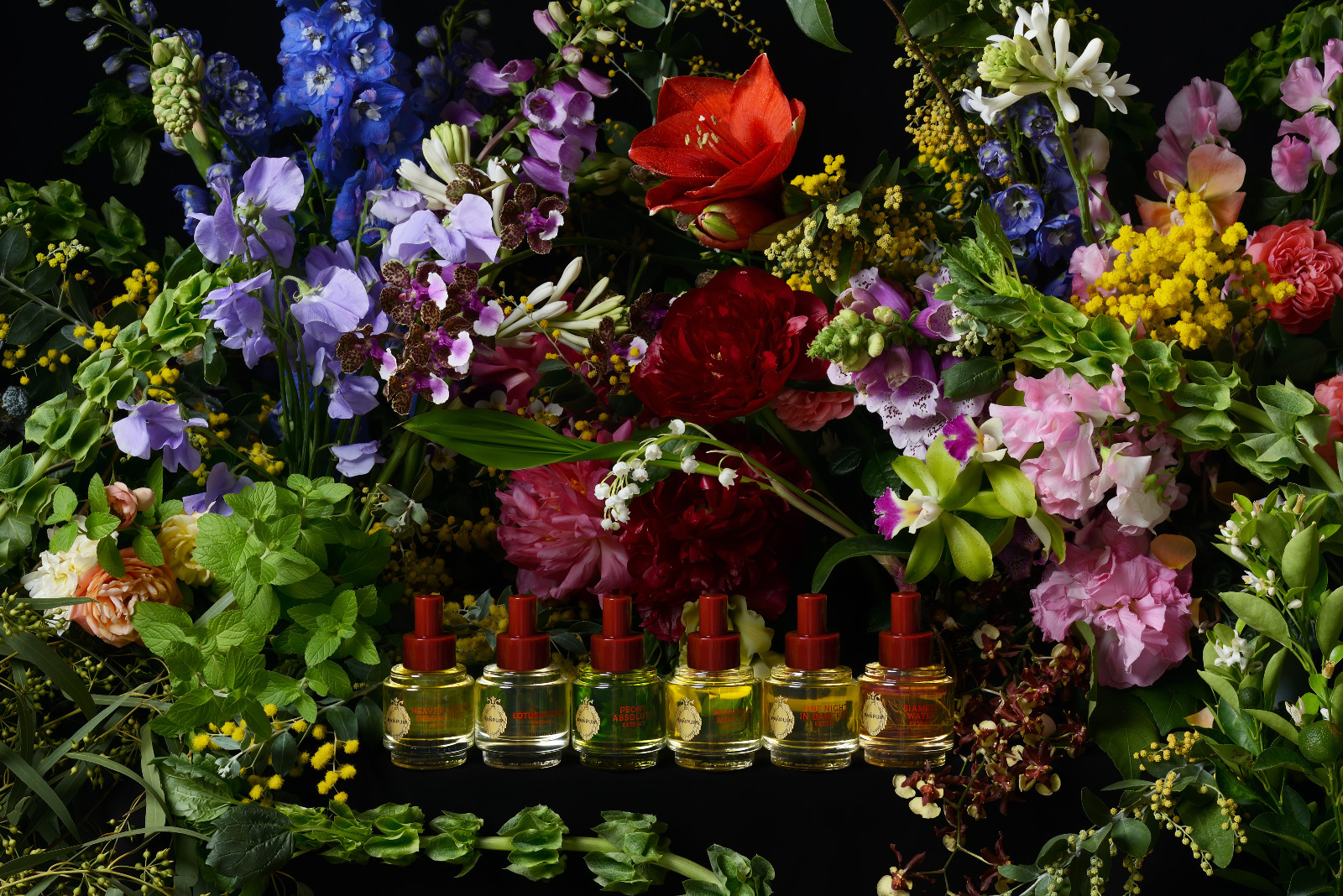 Botanical Rhapsody collection by Pañpuri