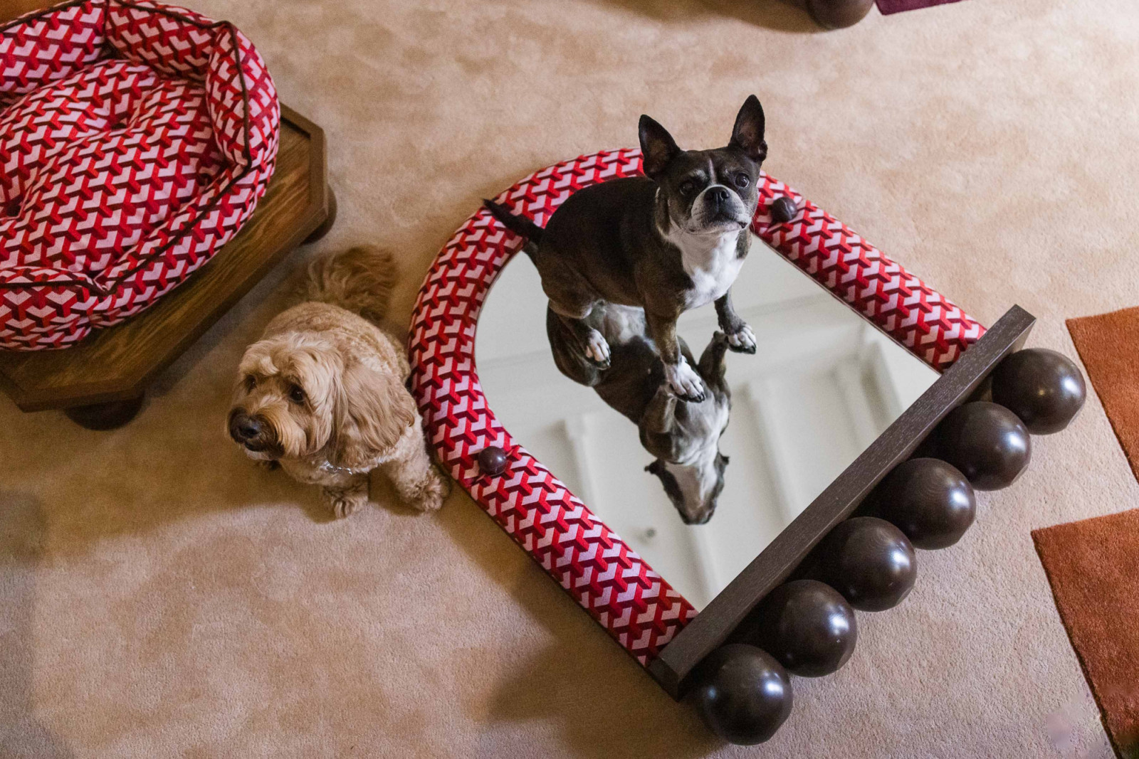 The Pet Corner Edit - Bed, Base & Mirror