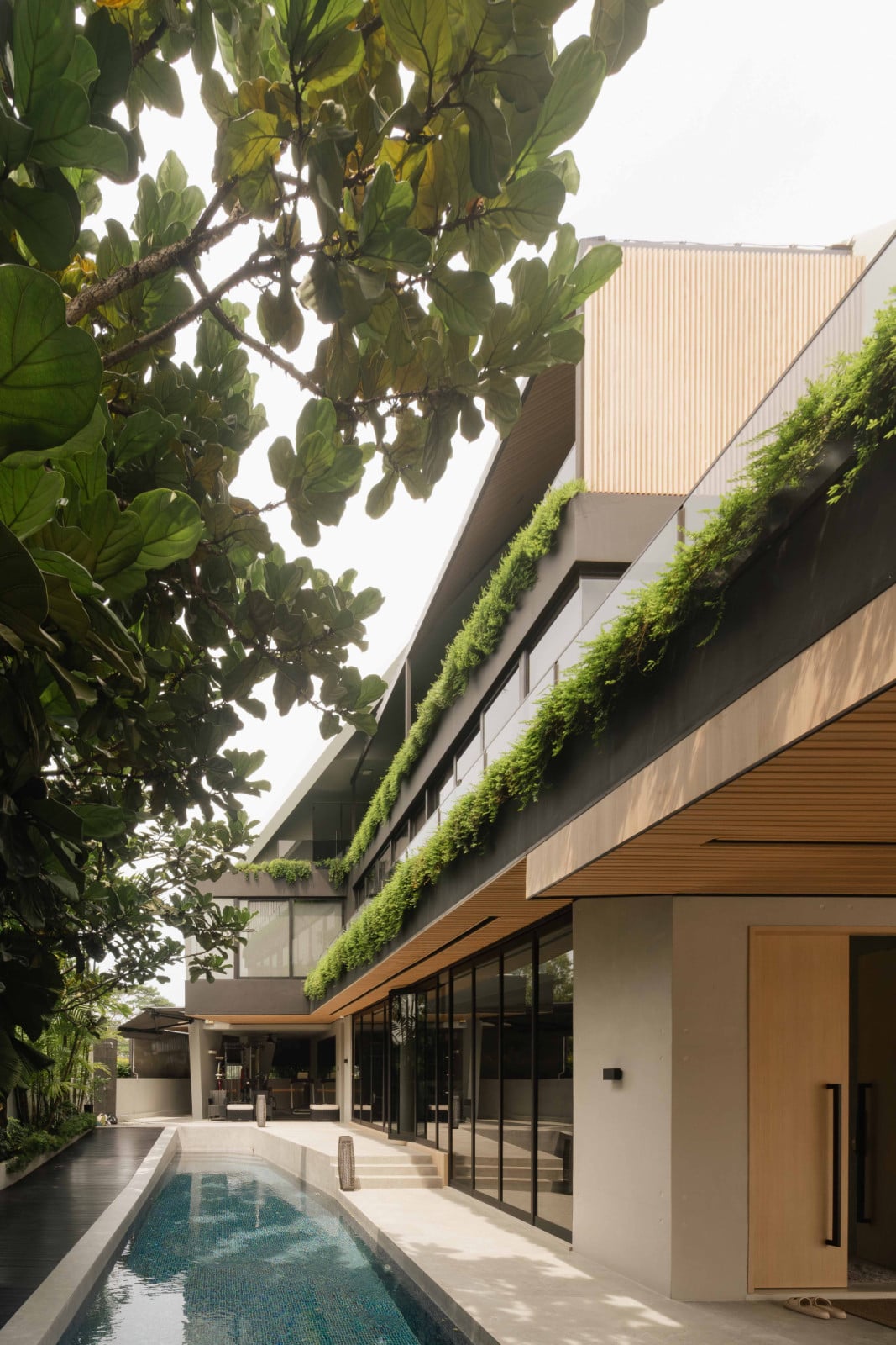 A view of the pool in daylight, framed by hanging plants on one side and landscaping on the other