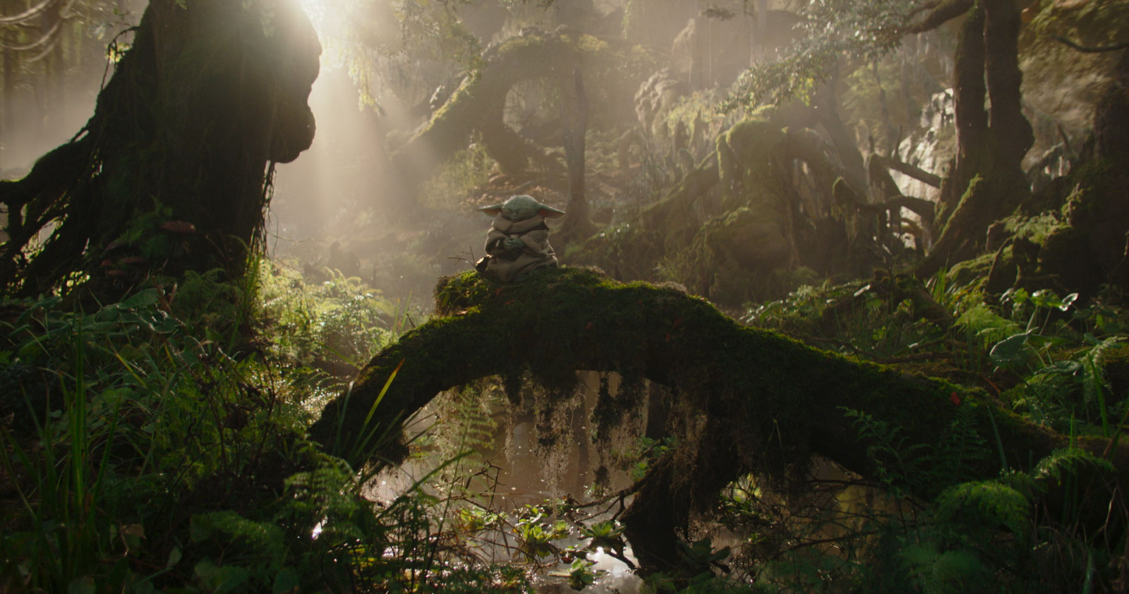 Grogu in Lucasfilm's THE MANDALORIAN AND GROGU. Photo courtesy of Lucasfilm. © 2026 Lucasfilm Ltd™. All Rights Reserved.