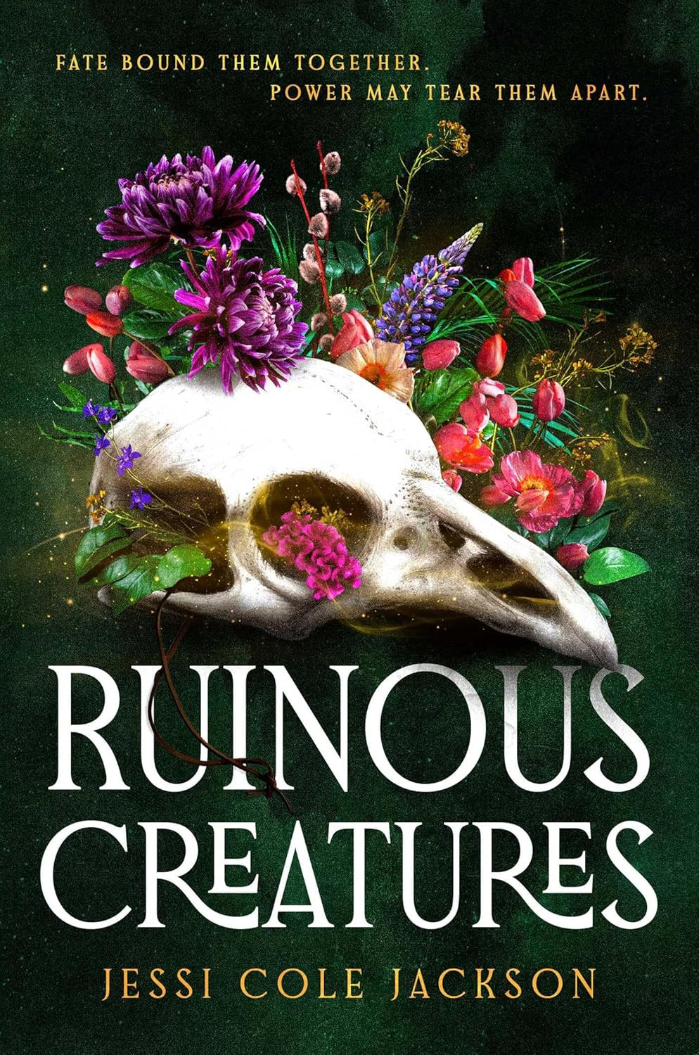 ‘Ruinous Creatures’ by Jessi Cole Jackson (Photo: Atria Books)