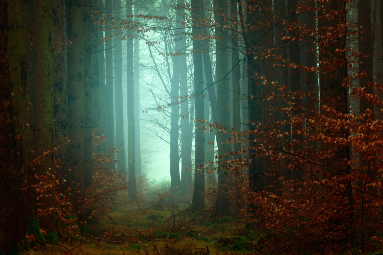 Explore paranormal fantasy books where ghosts, demons and magic operate inside structured, shifting systems (Photo: Johannes Plenio/Unsplash)
