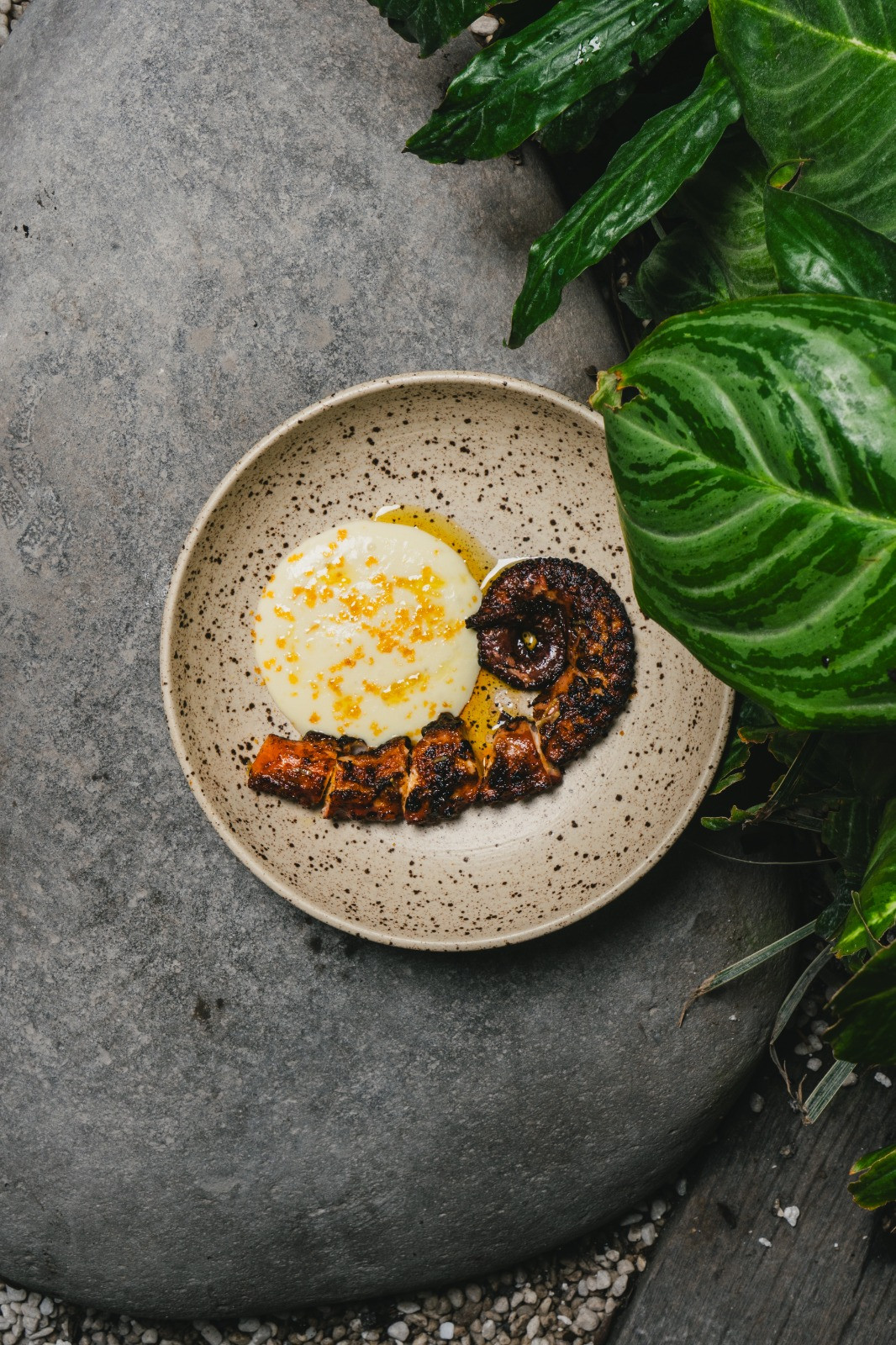 BBQ Octopus