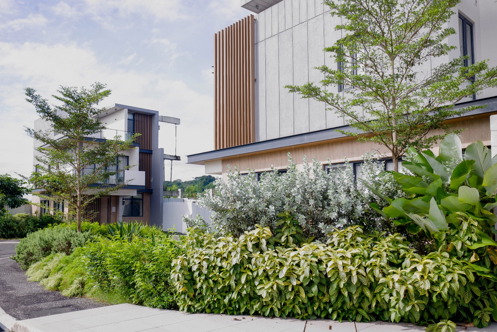 Vincent Lim's landscape design juxtaposes with the natural materials on the home's façade