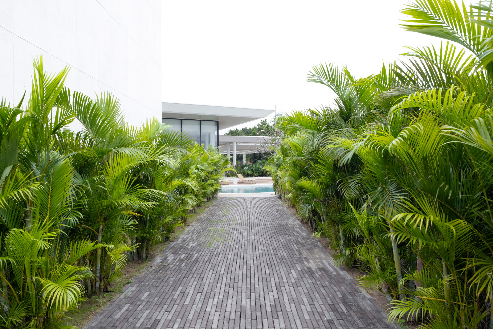 Vincent Lim's landscapes create an inviting atmosphere that guide the eye towards the home
