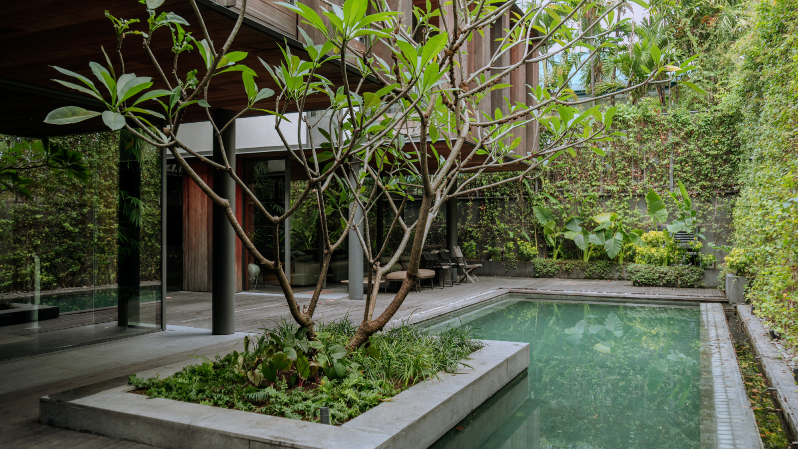 A lush, layered design where diverse foliage encircles the pool, creating a sense of natural intimacy