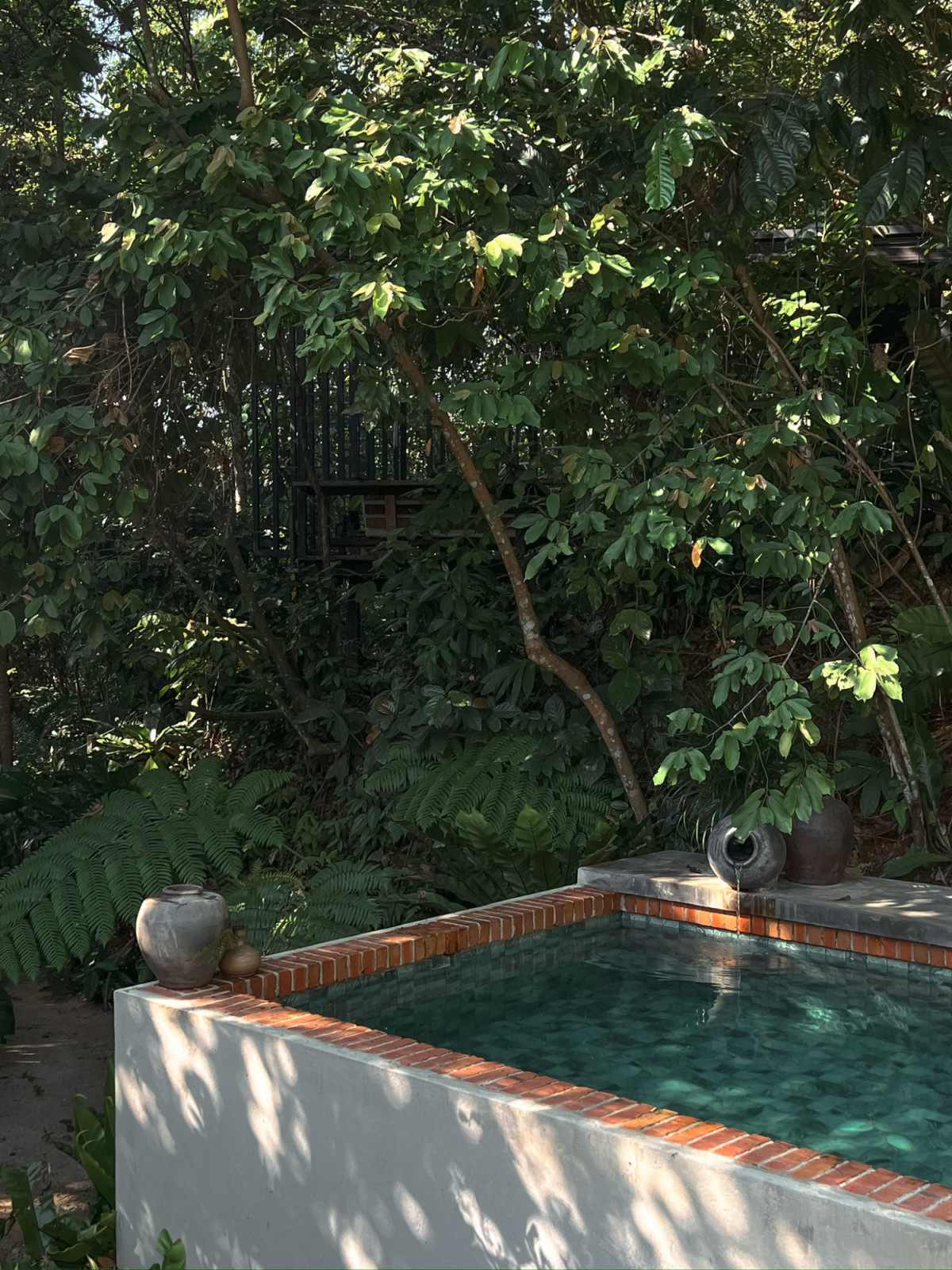 The raised pool edge at La Hilir, bordered by terracotta brick and ceramic vessels, with bird's nest ferns and forest planting behind