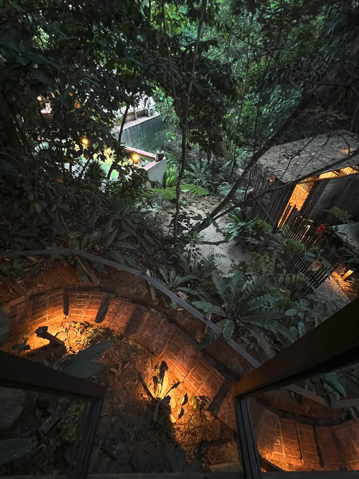The site at night viewed from the upper level, showing the terracotta brick staircase, lit pathways, and pool through the dense secondary forest growth