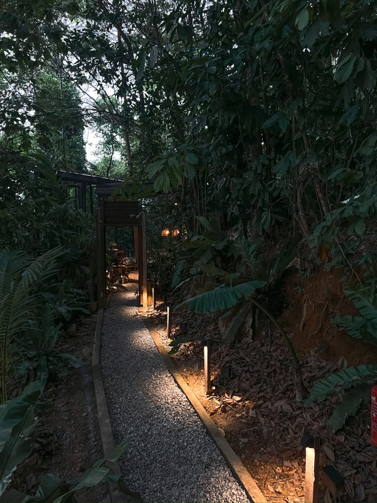 A gravel pathway lit by ground-level bollard lights leads through the forest toward the communal areas of La Hilir at dusk