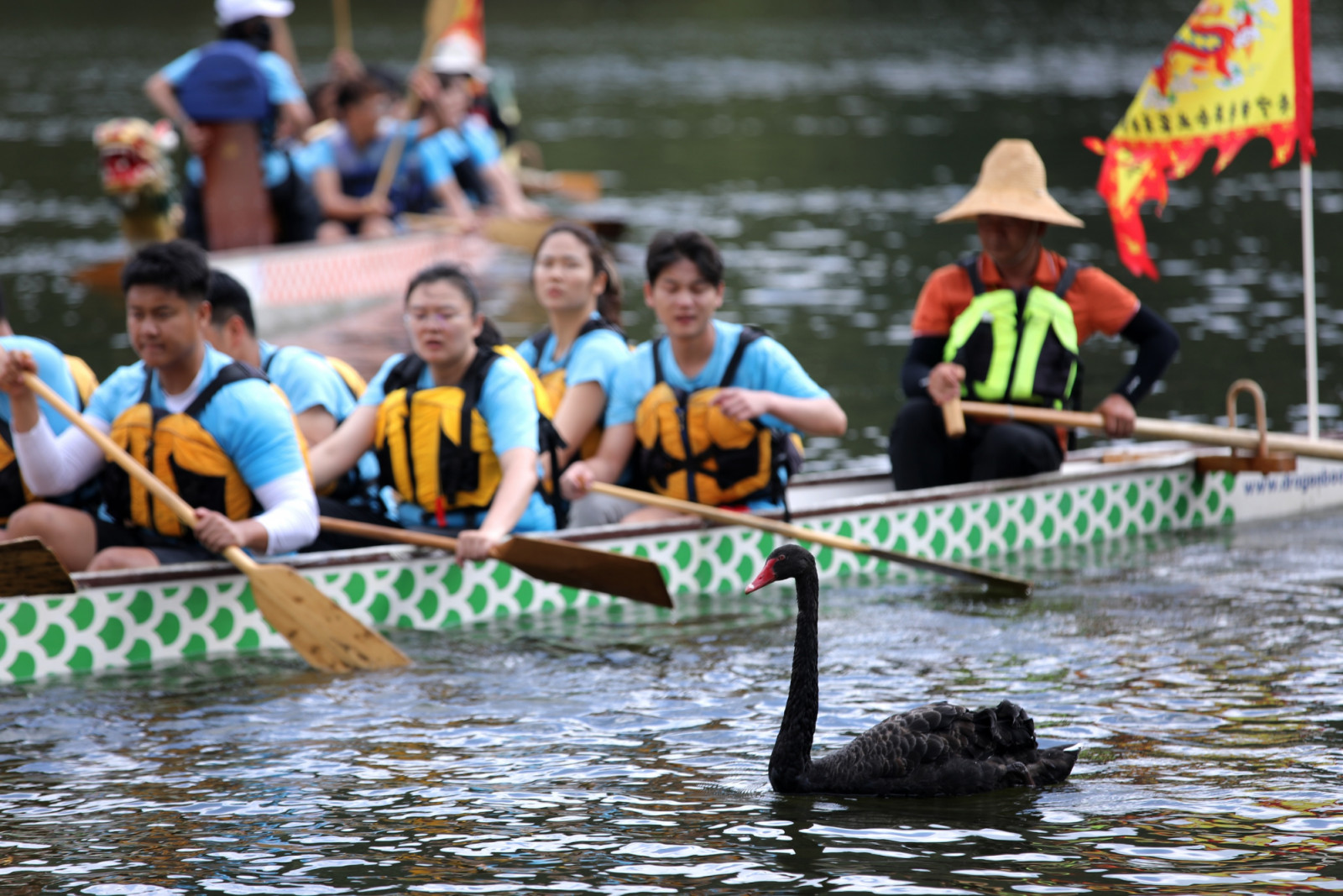 Dragon boat teams compete in a race to celebrate the upcoming Dragon Boat Festival on May 23, 2026 in Kunming, Yunnan Province of China. A total of 28 teams battled in the dragon boat race in Kunming. (Photo: VCG/VCG, Getty Images)
