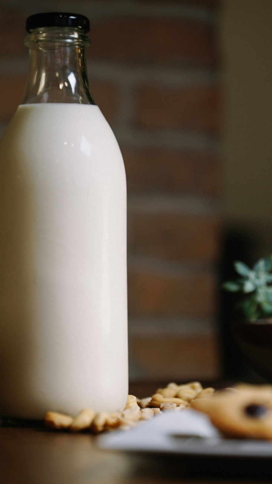 Cashew milk’s buttery smoothness makes it a versatile dairy-free staple (Photo: X/Unsplash)
