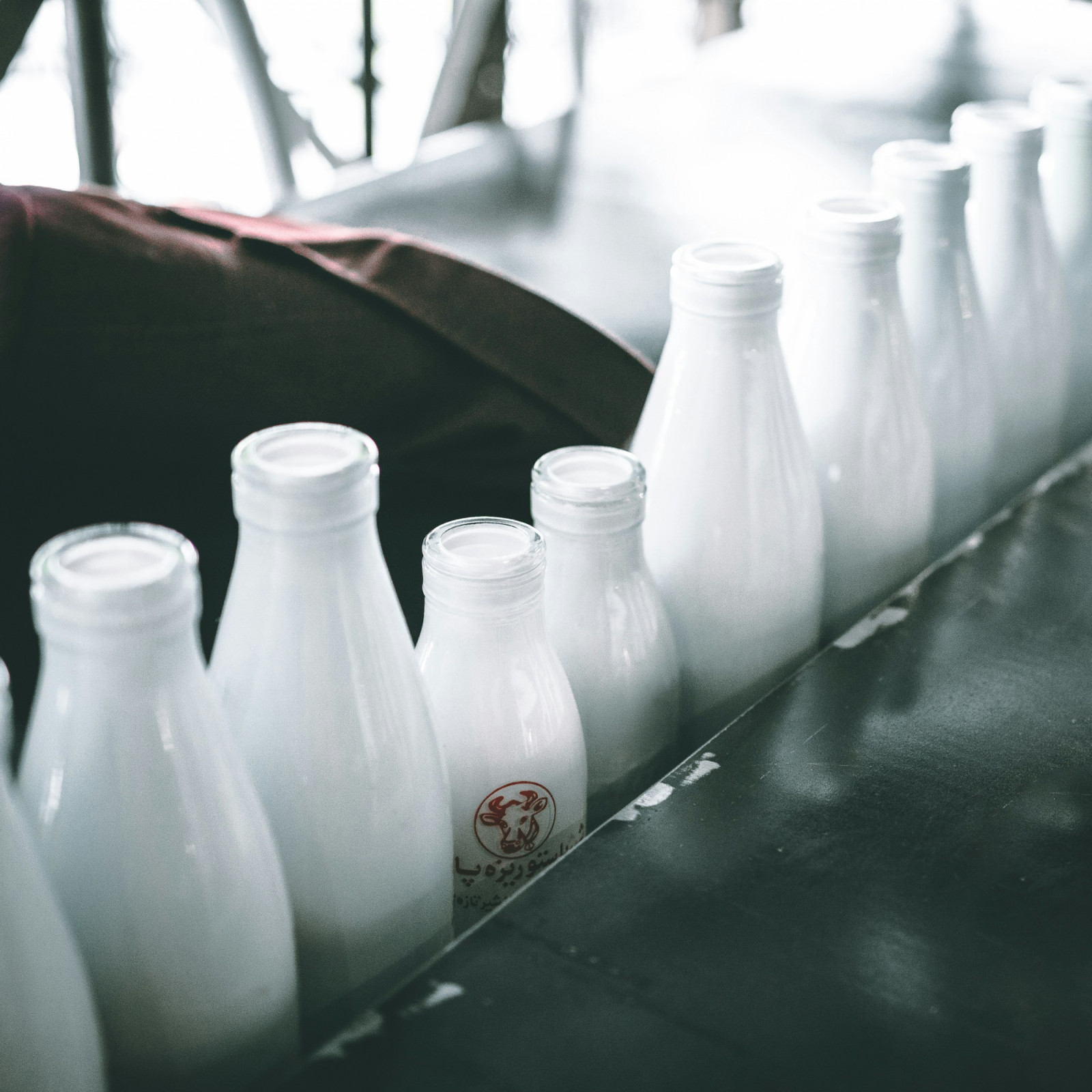 Whole cow’s milk is a classic, nutrient-rich staple for all ages (Photo: X/Unsplash)