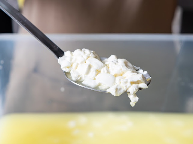 Tatler Dining - Wild Pasture Cheesemakers - Negros