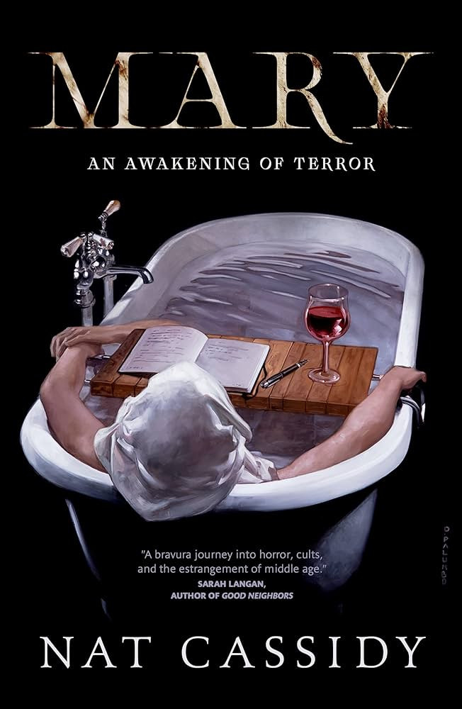 Fans of the 2026 horror film "Obsession" are sure to enjoy this American horror novel, "Mary: An Awakening of Terror" by Nat Cassidy