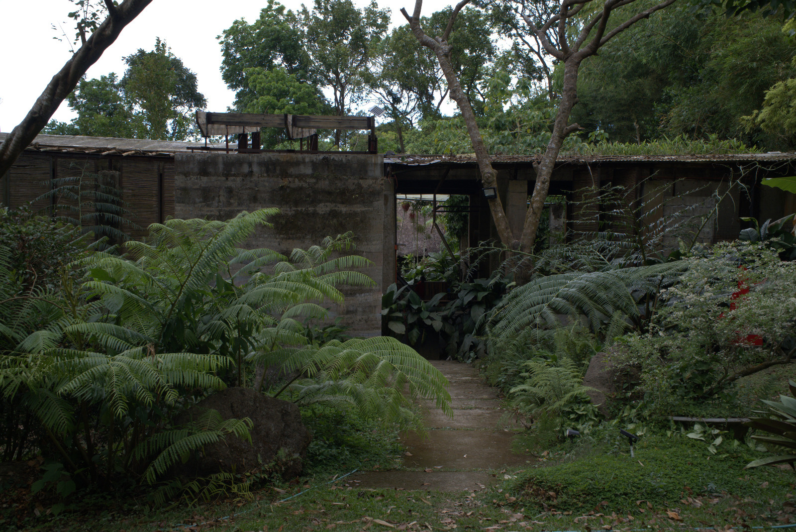 Rammed earth wall structurally supported by timber laminate beams