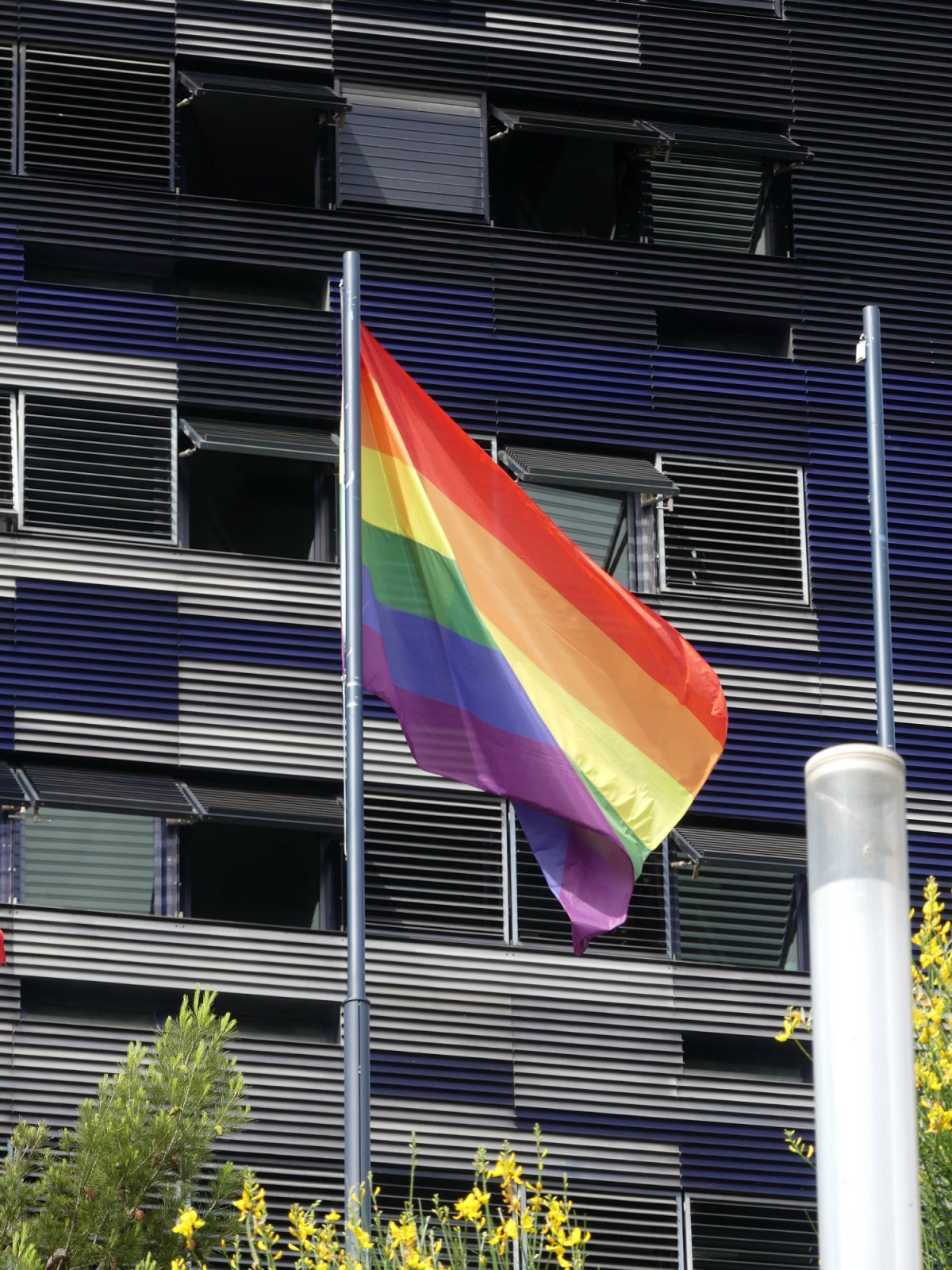 A rainbow flag waving proudly in front of the Montpellier City Hall, symbolising LGBTQ pride (Photo: Pexels)