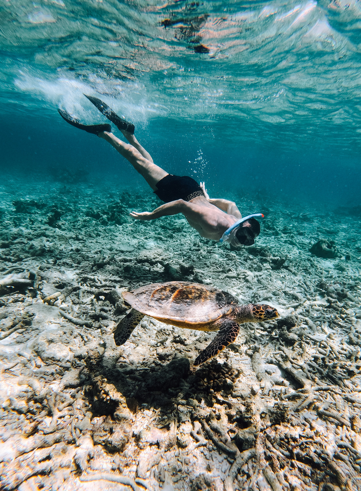 DCIM\100GOPRO\GOPR9667.JPG