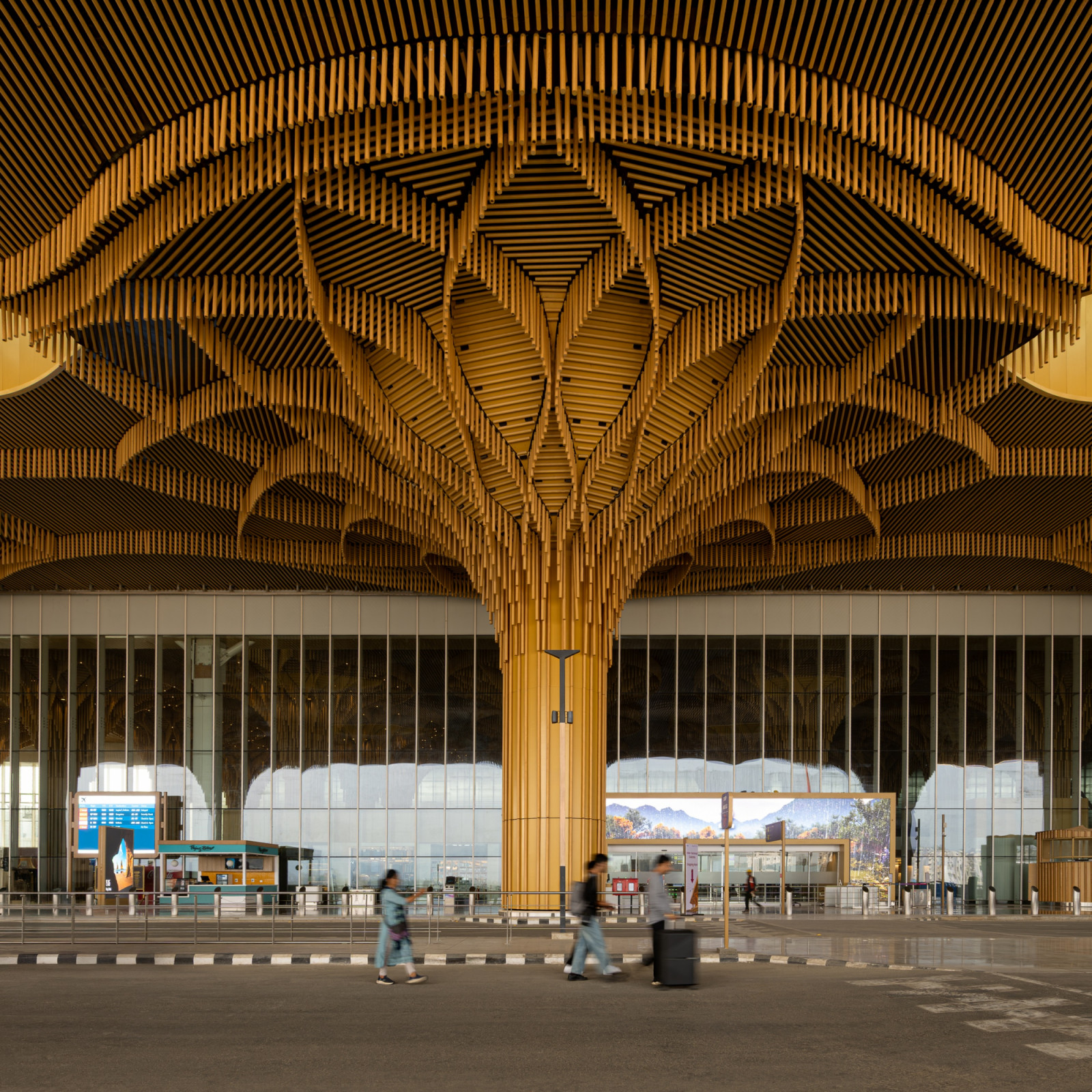 Seen from outside, the structure reads as a single colossal tree, its canopy of slender timber battens branching outward to shade the glazed facade below
