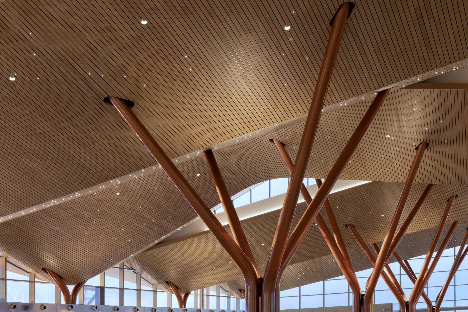 A closer view shows the canopy’s tree-like columns fanning out into multiple branches beneath a wood-slatted ceiling dotted with star-like pinpricks of light (Photo: Ema Peter)