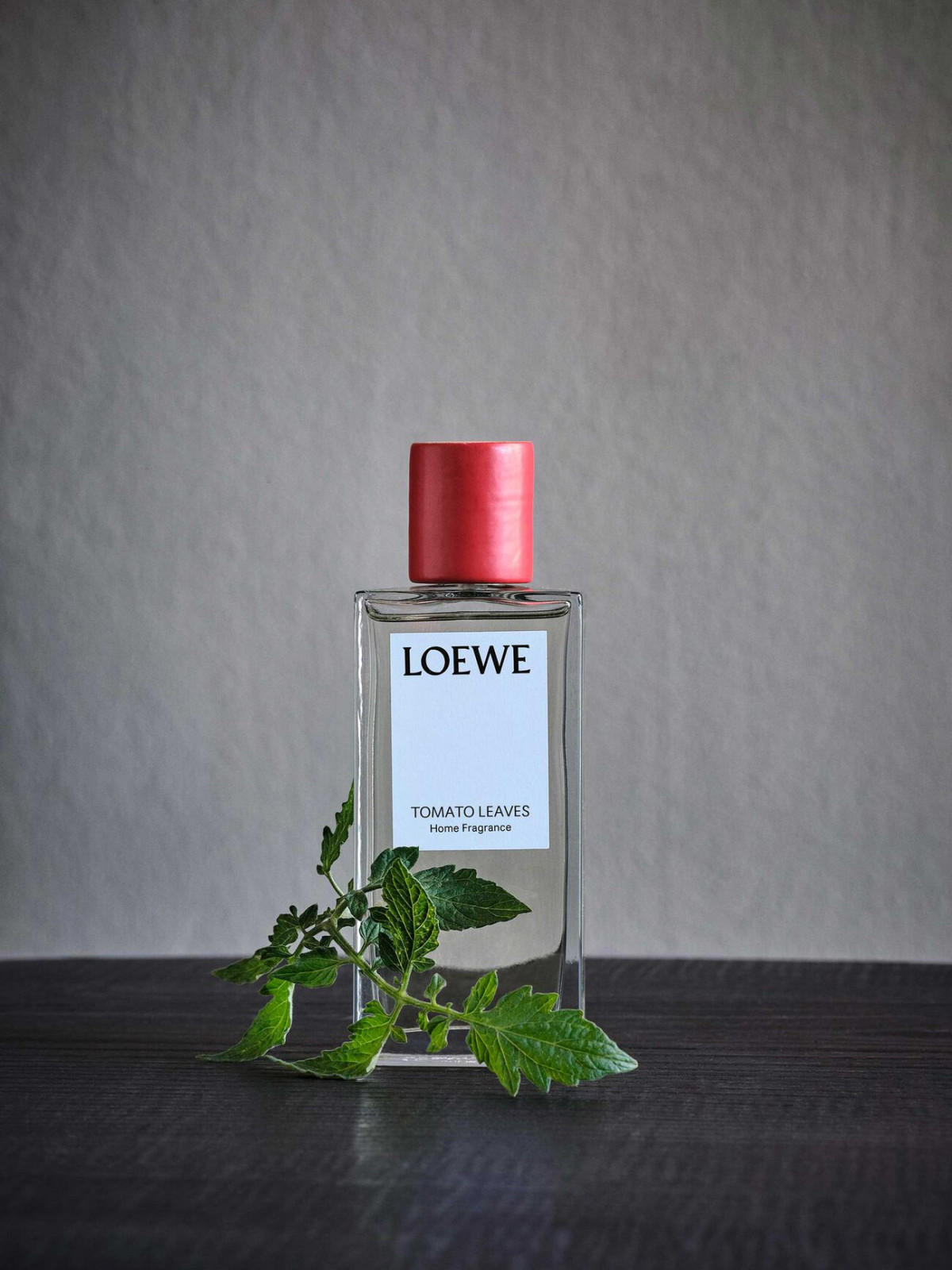 Loewe Tomato Leaves room spray