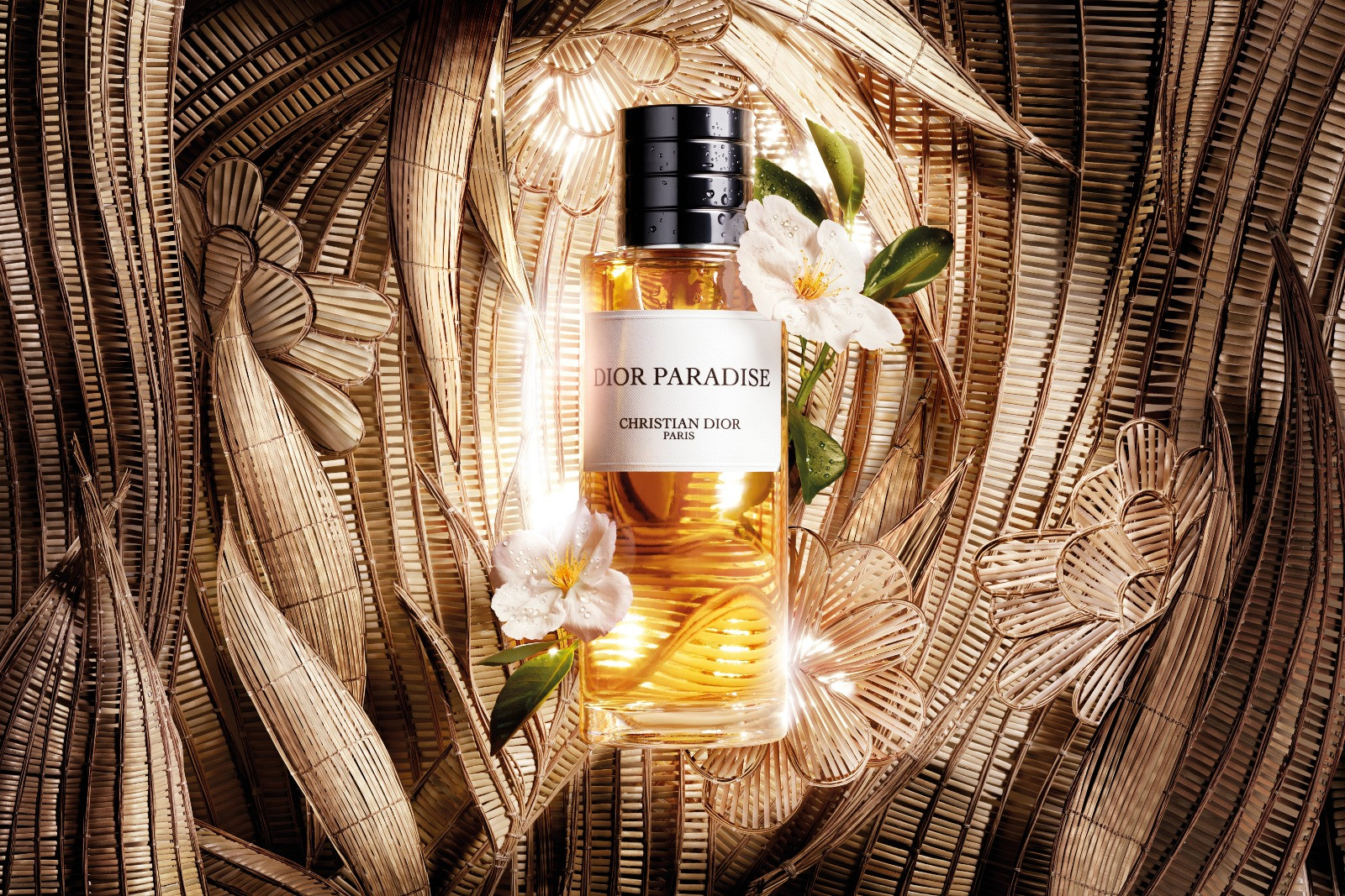 Dior Paradise fragrance: Francis Kurkdjian's tribute to La Colle