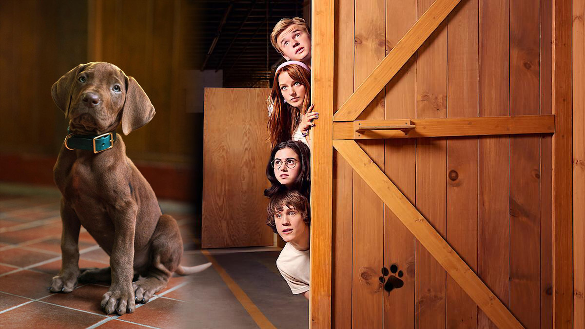 Just as ‘Masters of the Universe’ winds down in cinemas, attention is already shifting to the next wave of live-action nostalgia, with fans talking about Netflix’s upcoming ‘Scooby-Doo: Origins’ (Photos: Netflix)