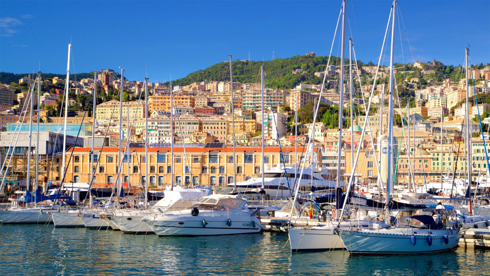 Sprawling views of Genoa, Italy