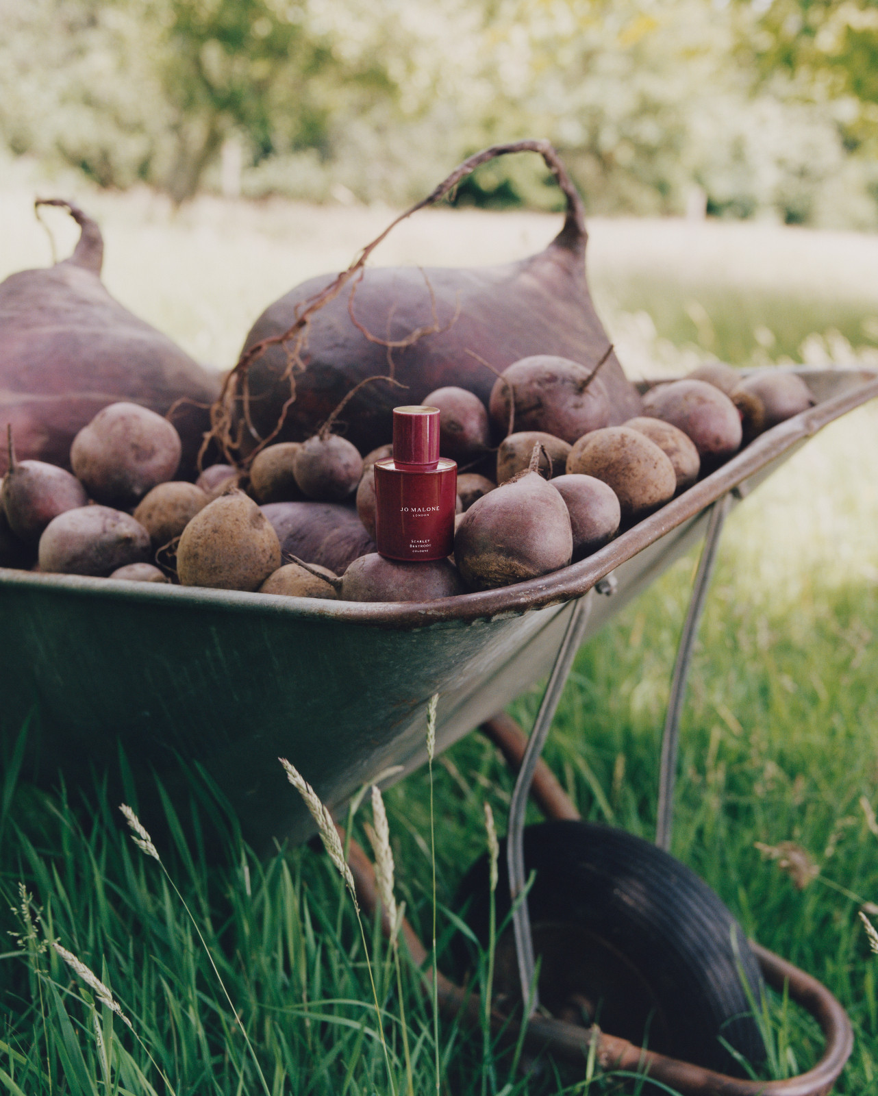 (Photo︰Jo Malone London )