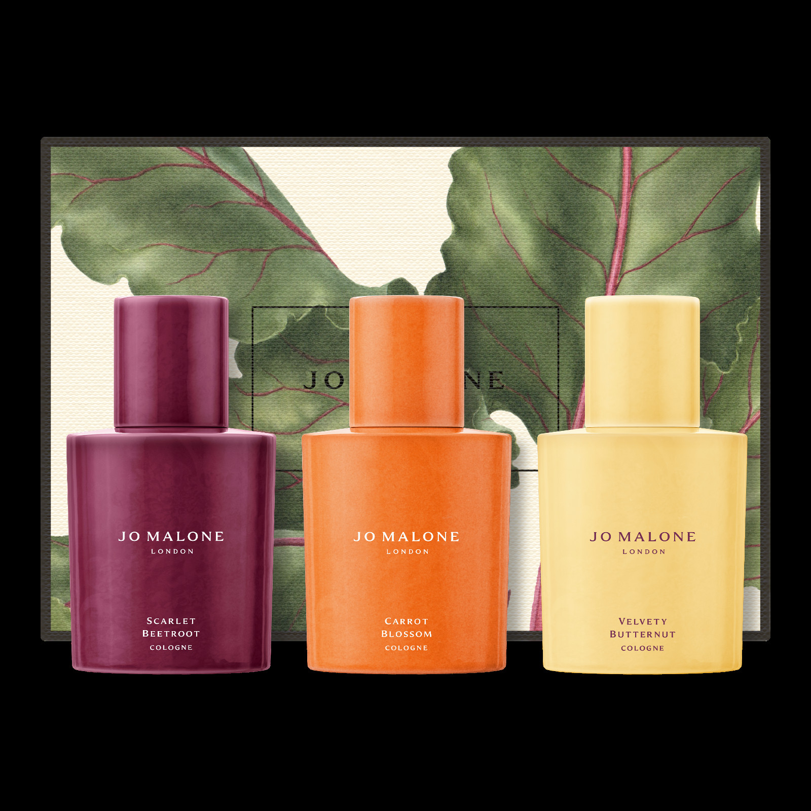 (Photo︰Jo Malone London )