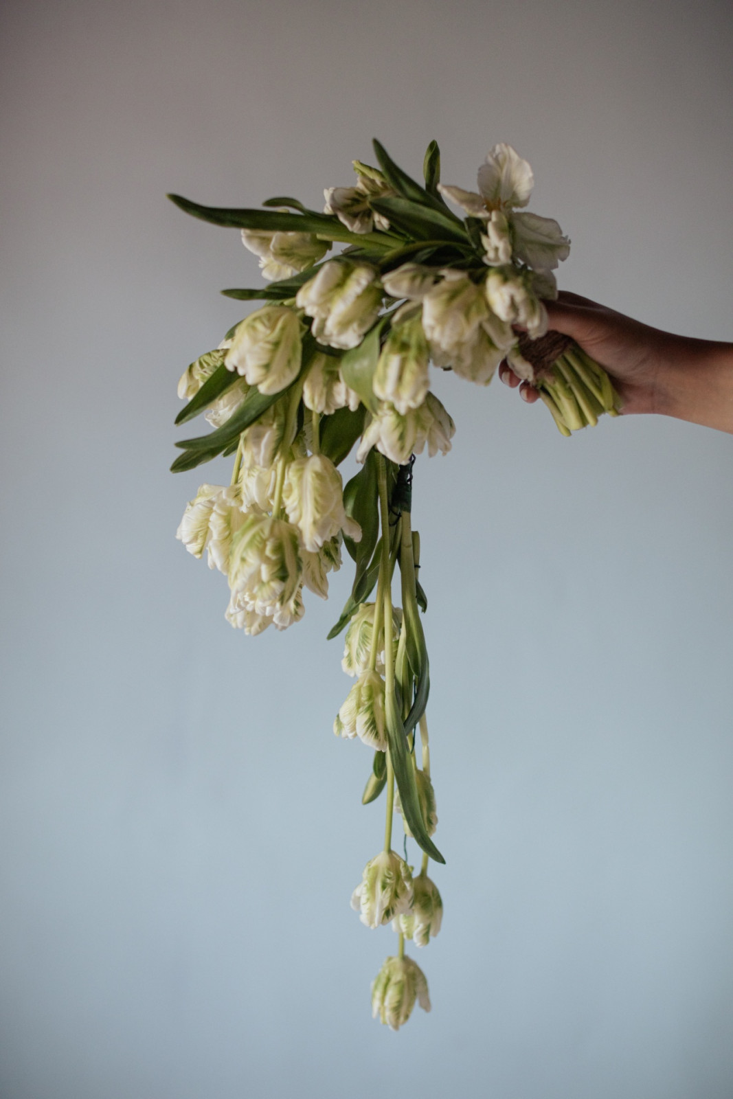 Tatler Weddings - Madi Calleja and Anton Chiongbian