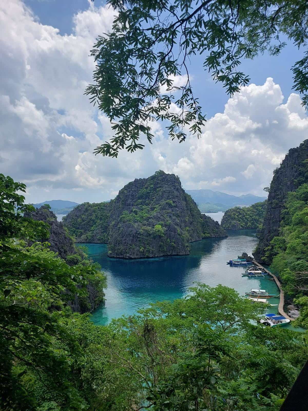 Bacau Bay Coron