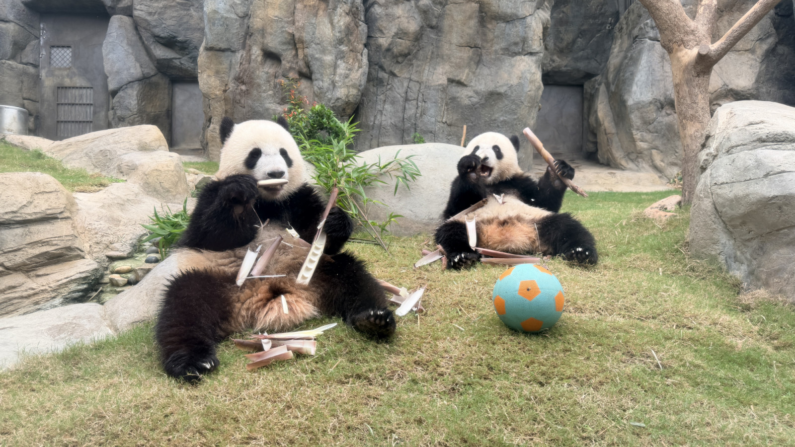 hong kong travel guide summer