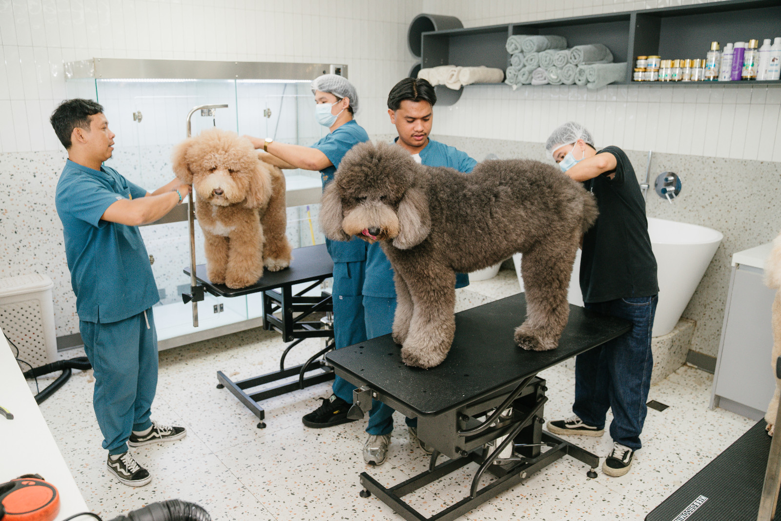 The dedicated grooming station provides a comfortable environment for professional grooming and coat maintenance (Photo: courtesy of Luxury Pets)