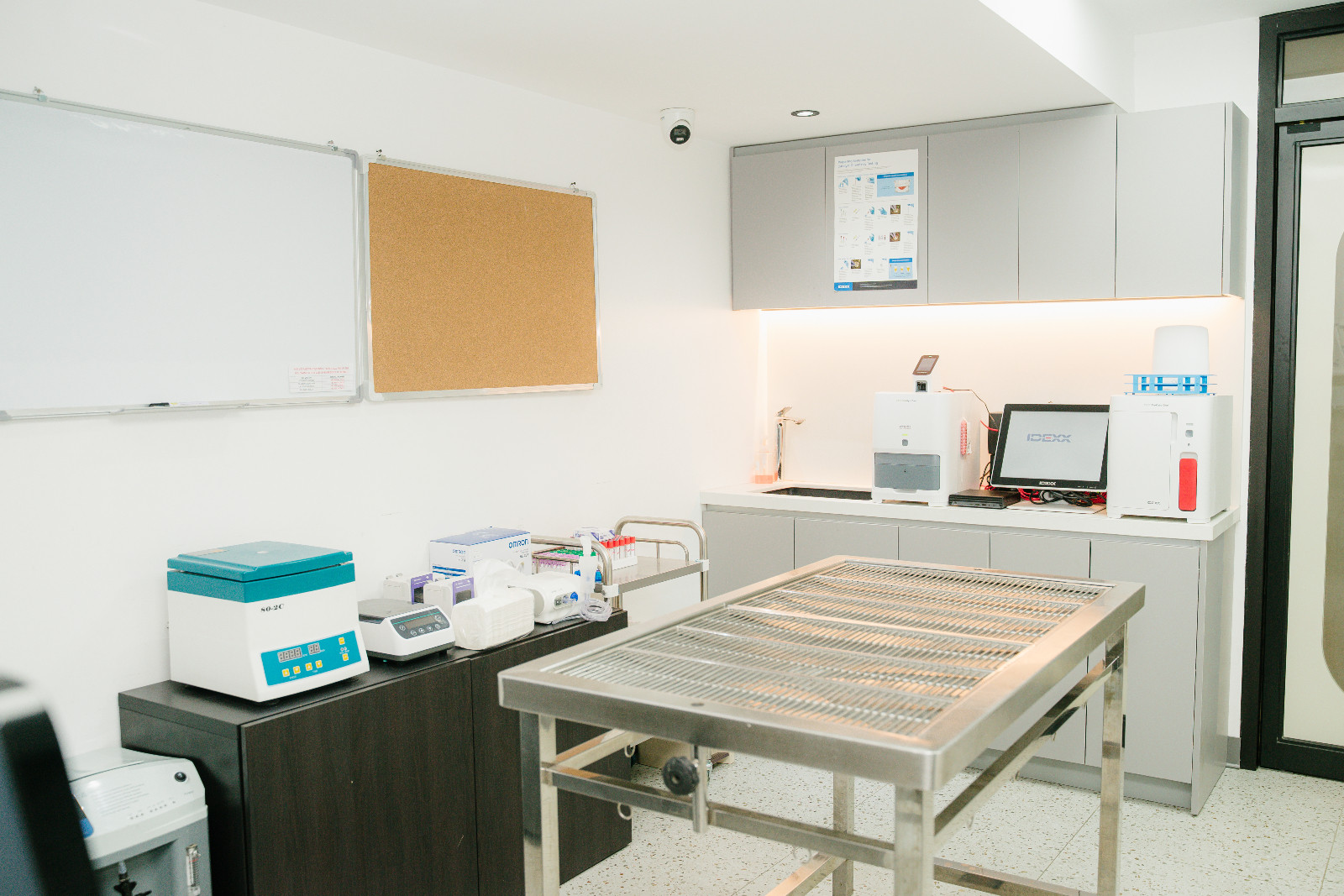 One of Luxuri Pets' purpose-built infectious cat wards, equipped to support advanced diagnostics and specialised animal healthcare
(Photo: courtesy of Luxuri Pets)