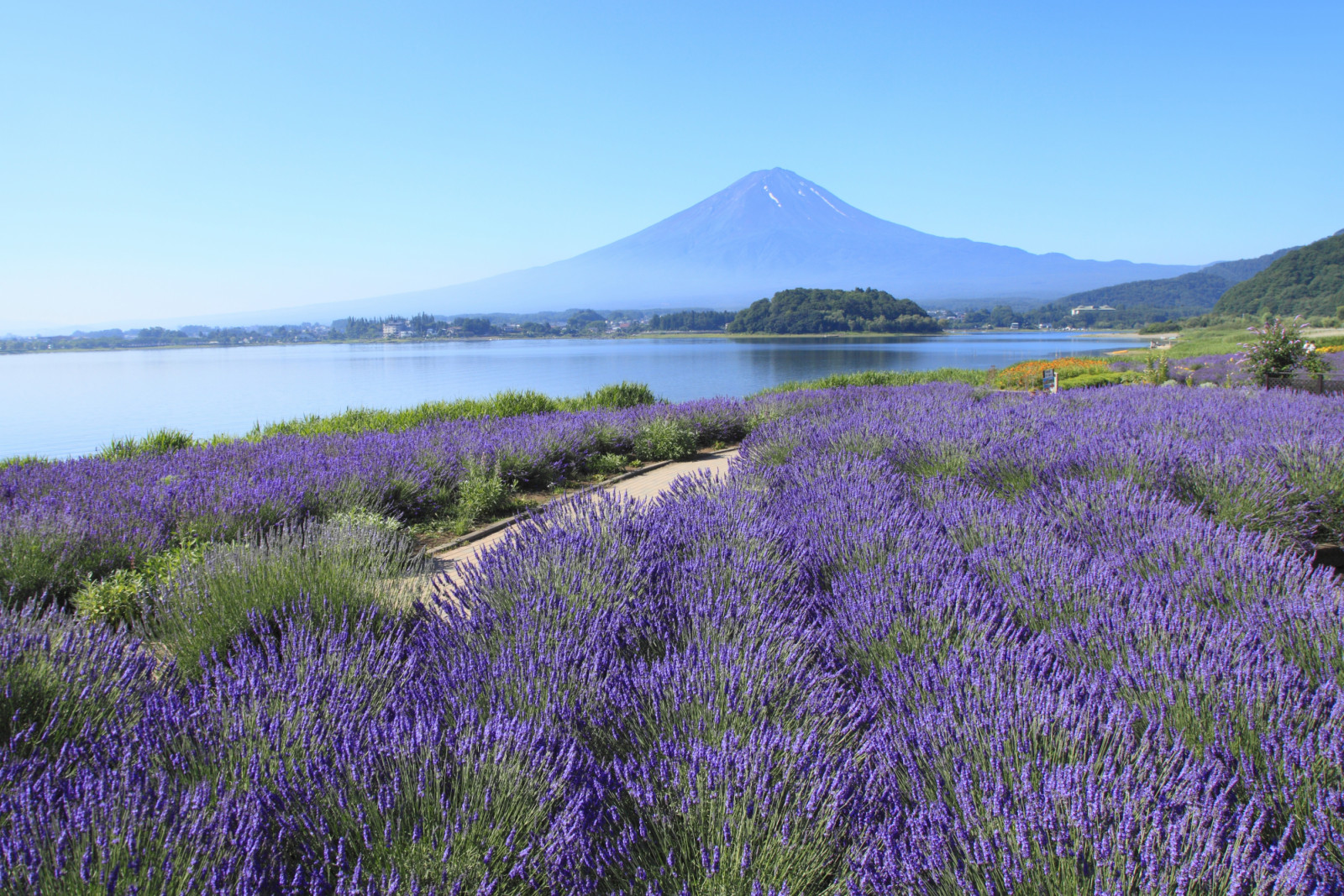 Fuji Five Lakes, Yamanashi Prefecture, Japan