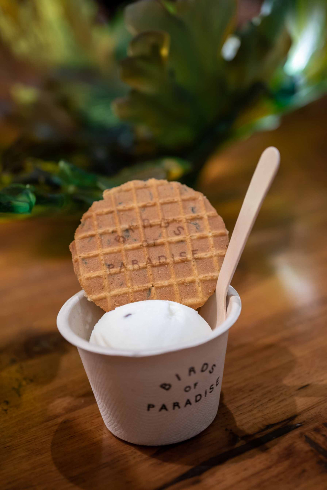 White chrysanthemum with cacao nibs from Birds of Paradise gelato