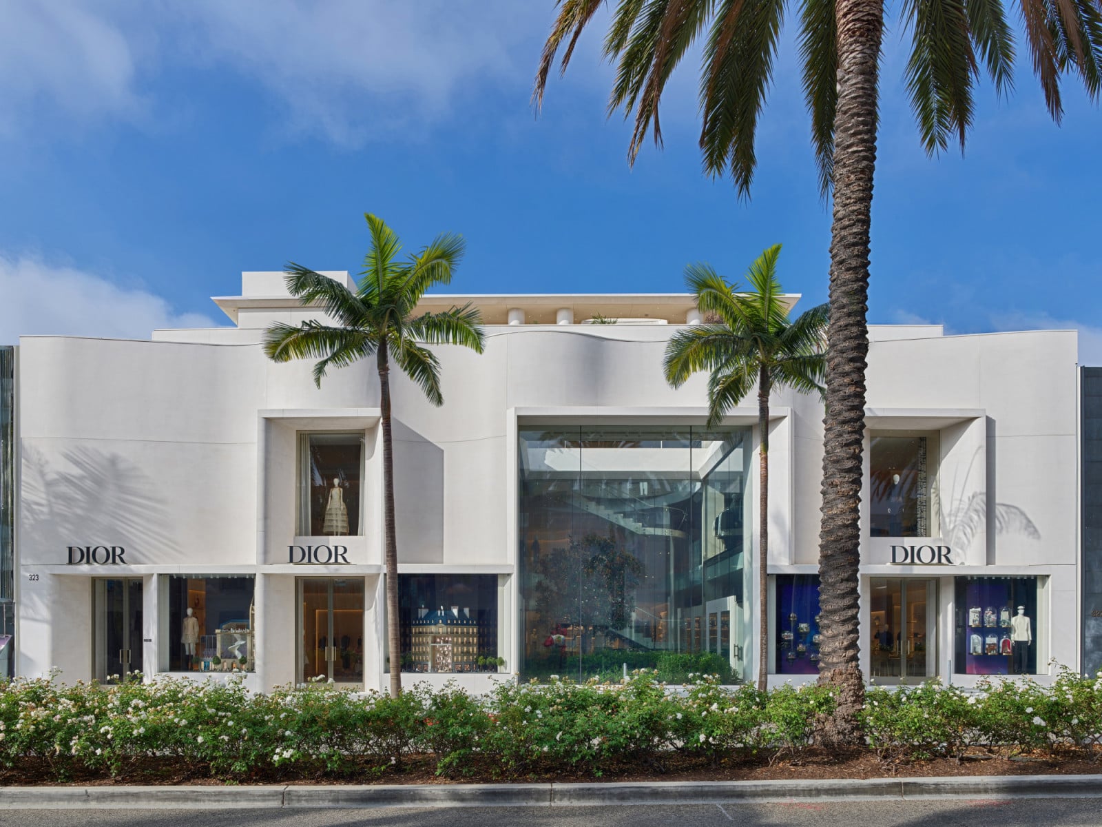 The Rodeo Drive façade combines curved white stone with tall glass openings, framed by mature palm trees along the street (Photo: Jonathan Taylor)