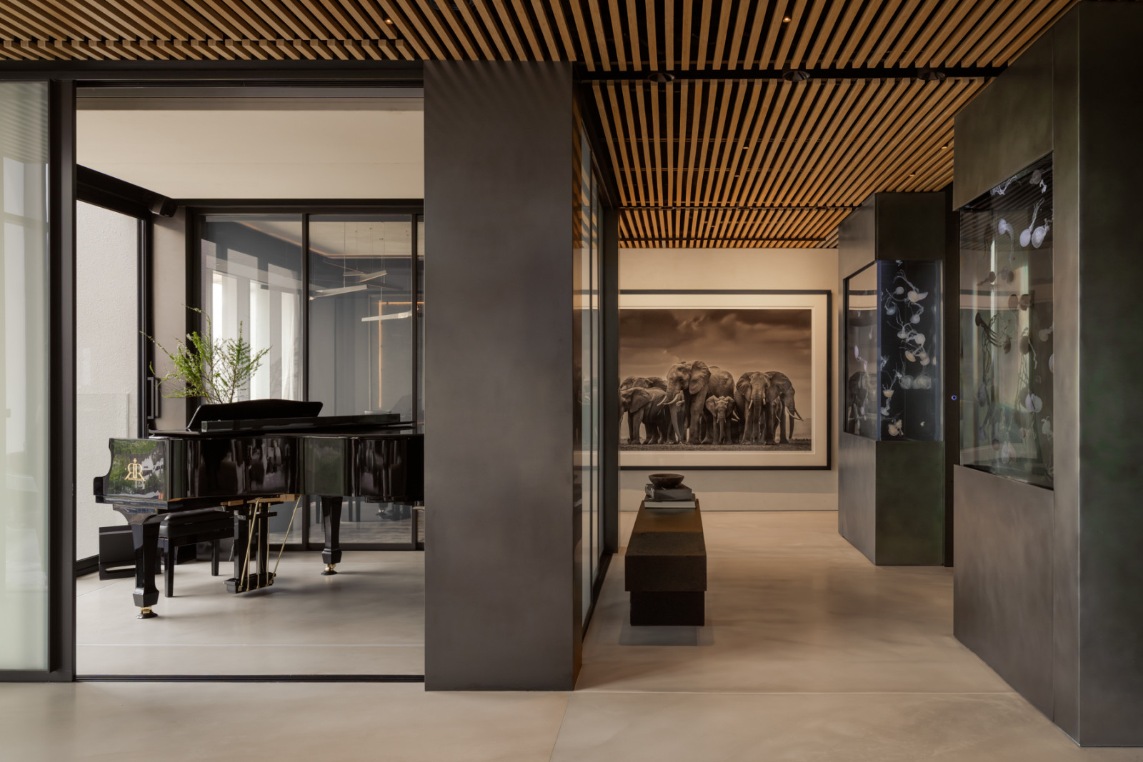 The glass-enclosed piano room opens off the entrance foyer, with the David Yarrow elephant photograph and one of the flanking jellyfish tanks visible along the corridor beyond