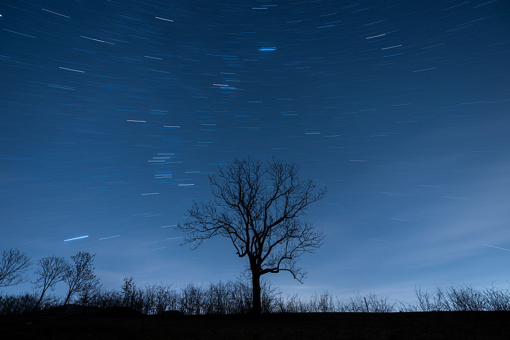 20 January 2026, Baden-Württemberg, Rottweil: A tree can be seen in front of the starry sky near Rottweil (shot with long exposure). Photo: Silas Stein/dpa (Photo by Silas Stein/picture alliance via Getty Images)