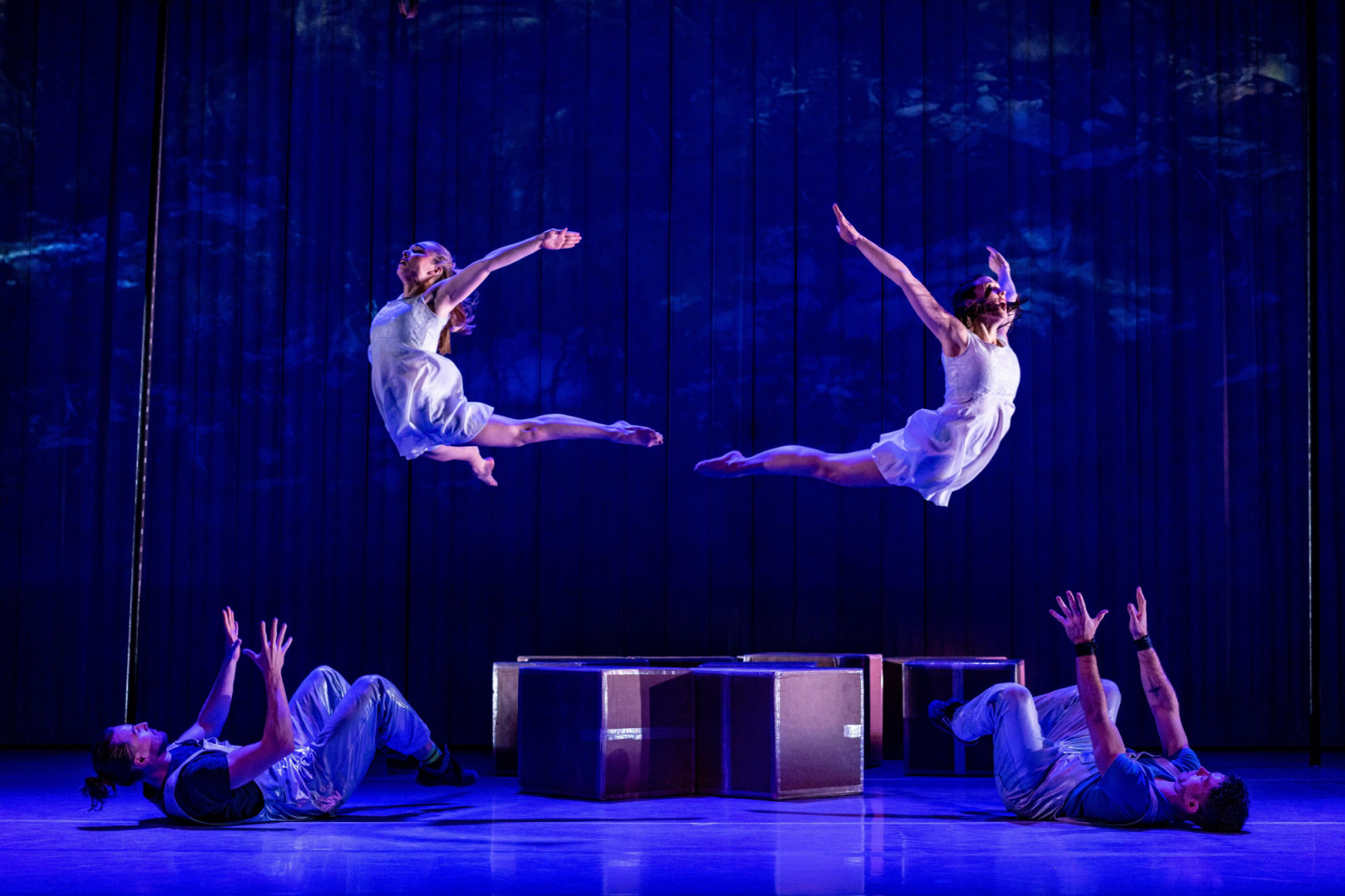 British dance-circus group Motionhouse combines acrobatics and digital projections for a fun family adventure. (Photo: Dan Tucker, Motionhouse)