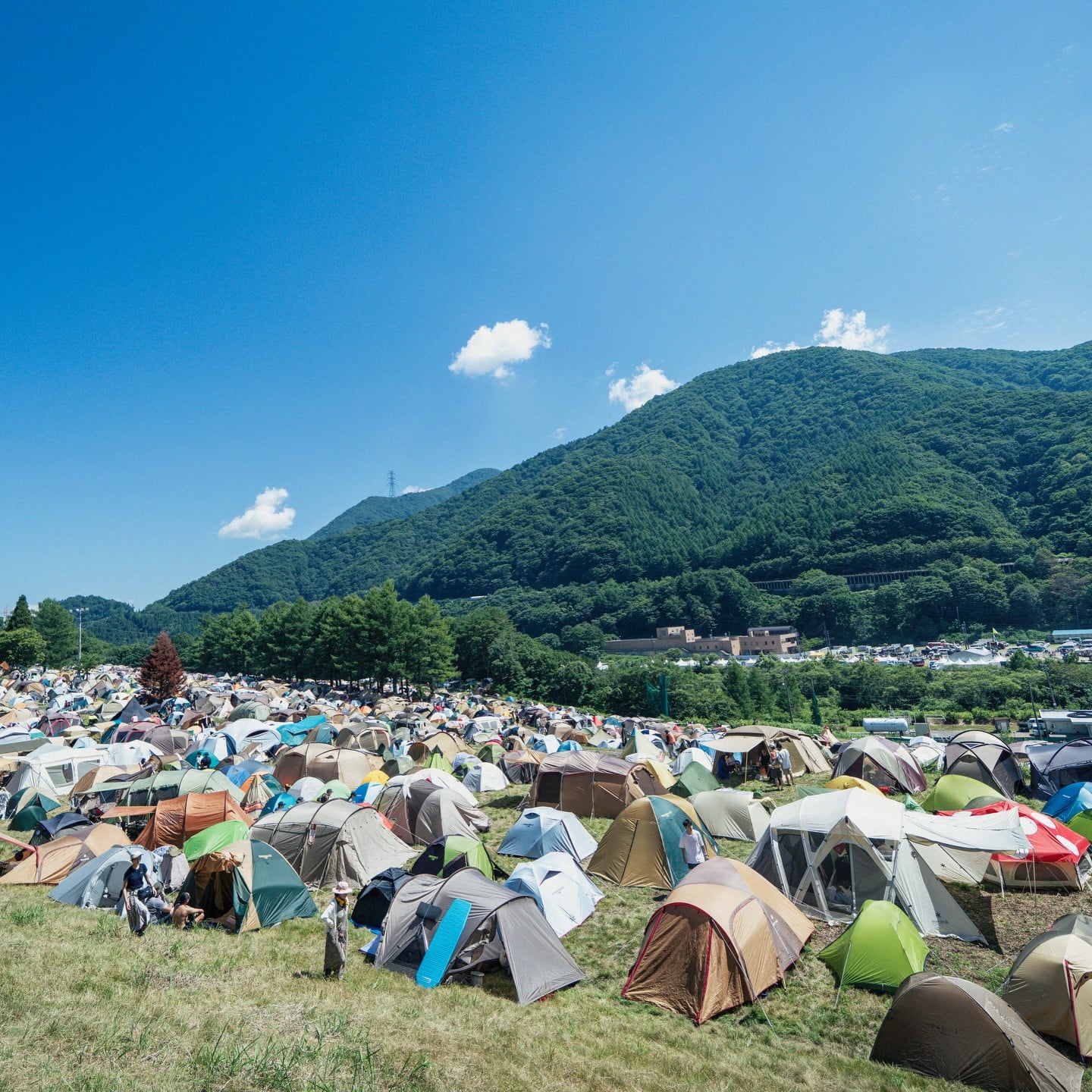 From neon city stages to hidden forest raves, travelers are turning Japan music festivals into deep-dive regional holidays (Photo: fujirock_jp/Instagram)