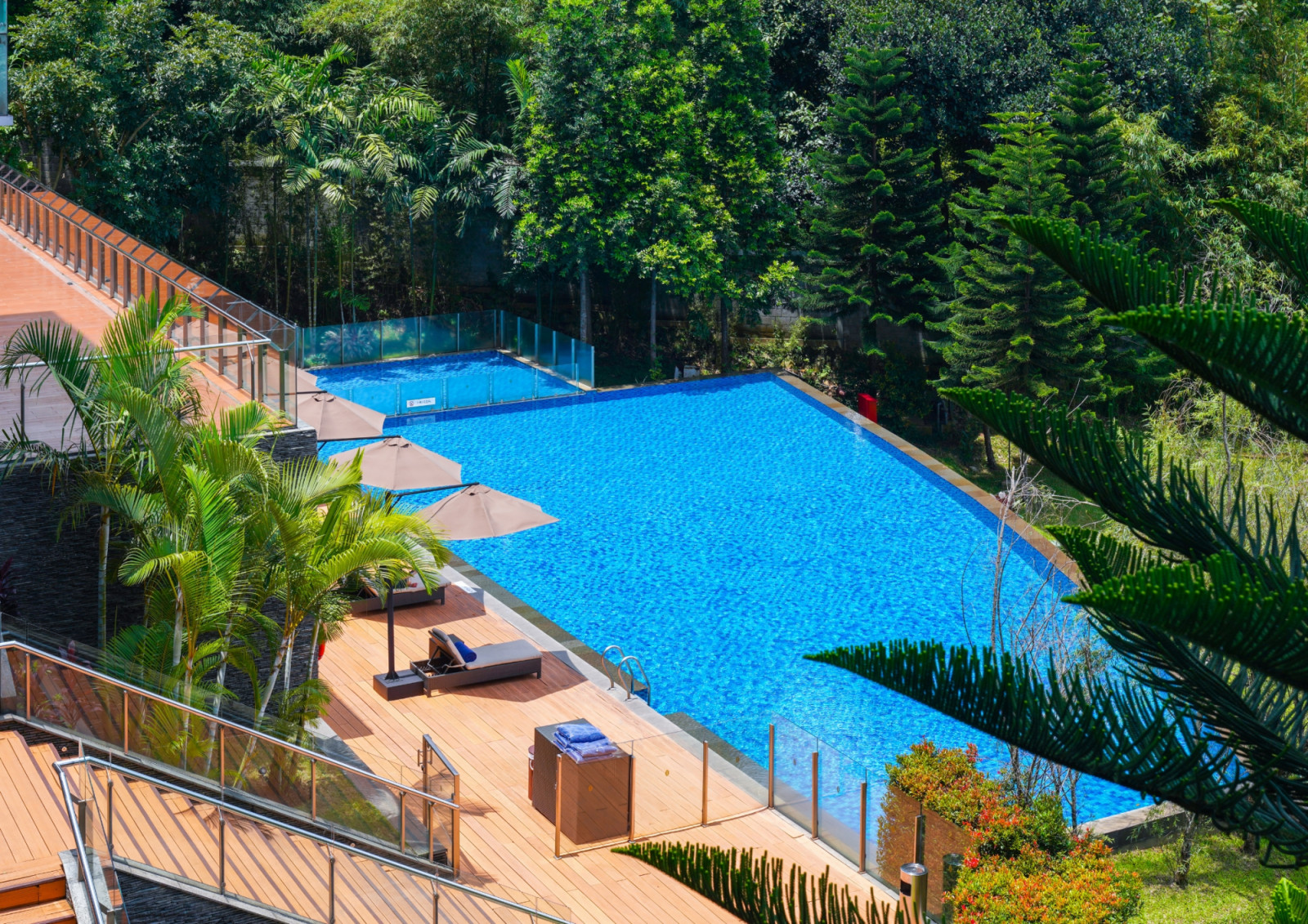 Pool with a verdant view