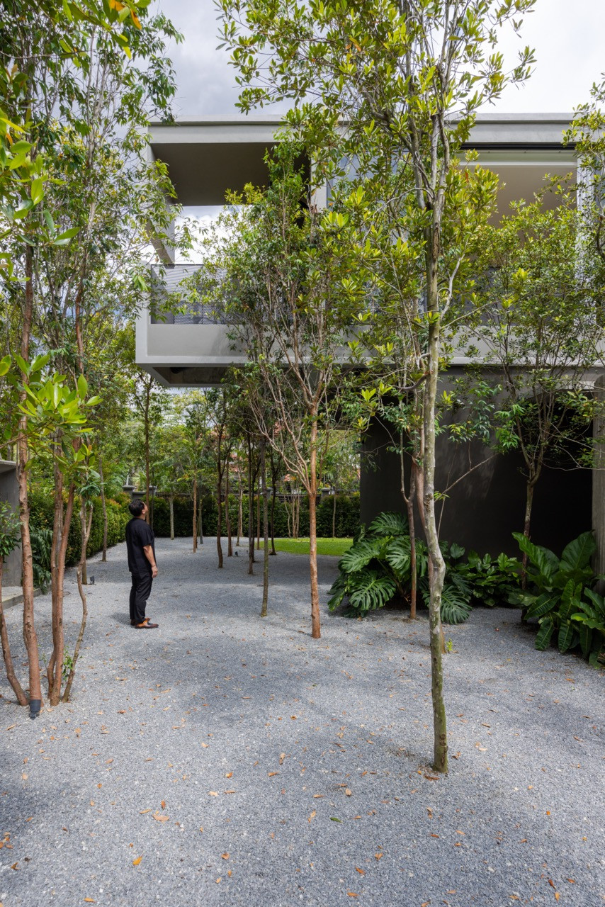 The architectural shift between the two volumes produces a cantilevered balcony that projects into the surrounding tree canopy
