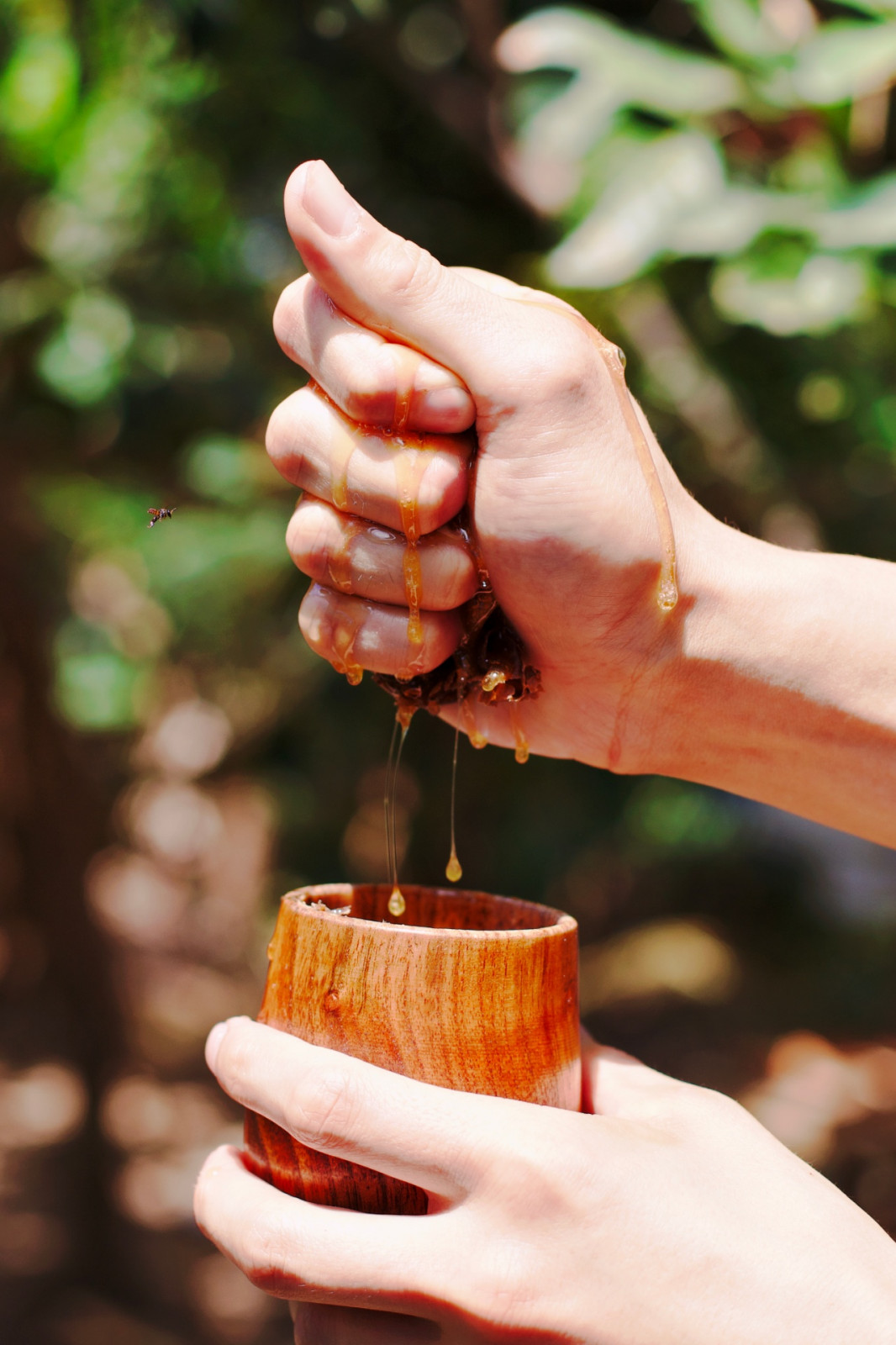 Tatler Dining - Kaya Kusina - What is Kiwot Honey - Photos courtesy of Kaya Kusina