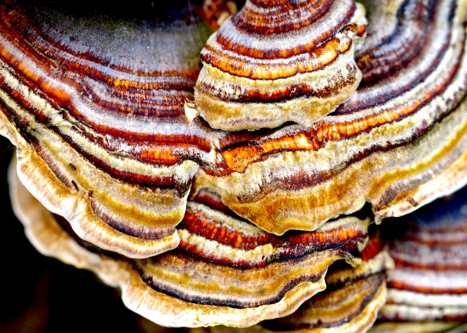 Photo: James Wainscoat/Unsplash