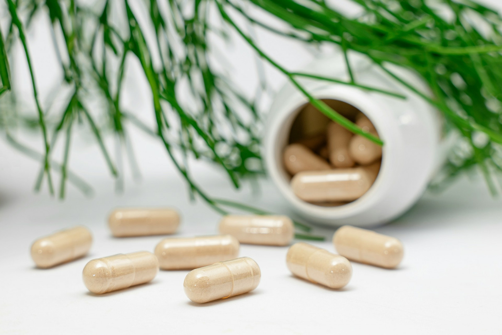 Photo: Supliful - Supplements On Demand / Unsplash