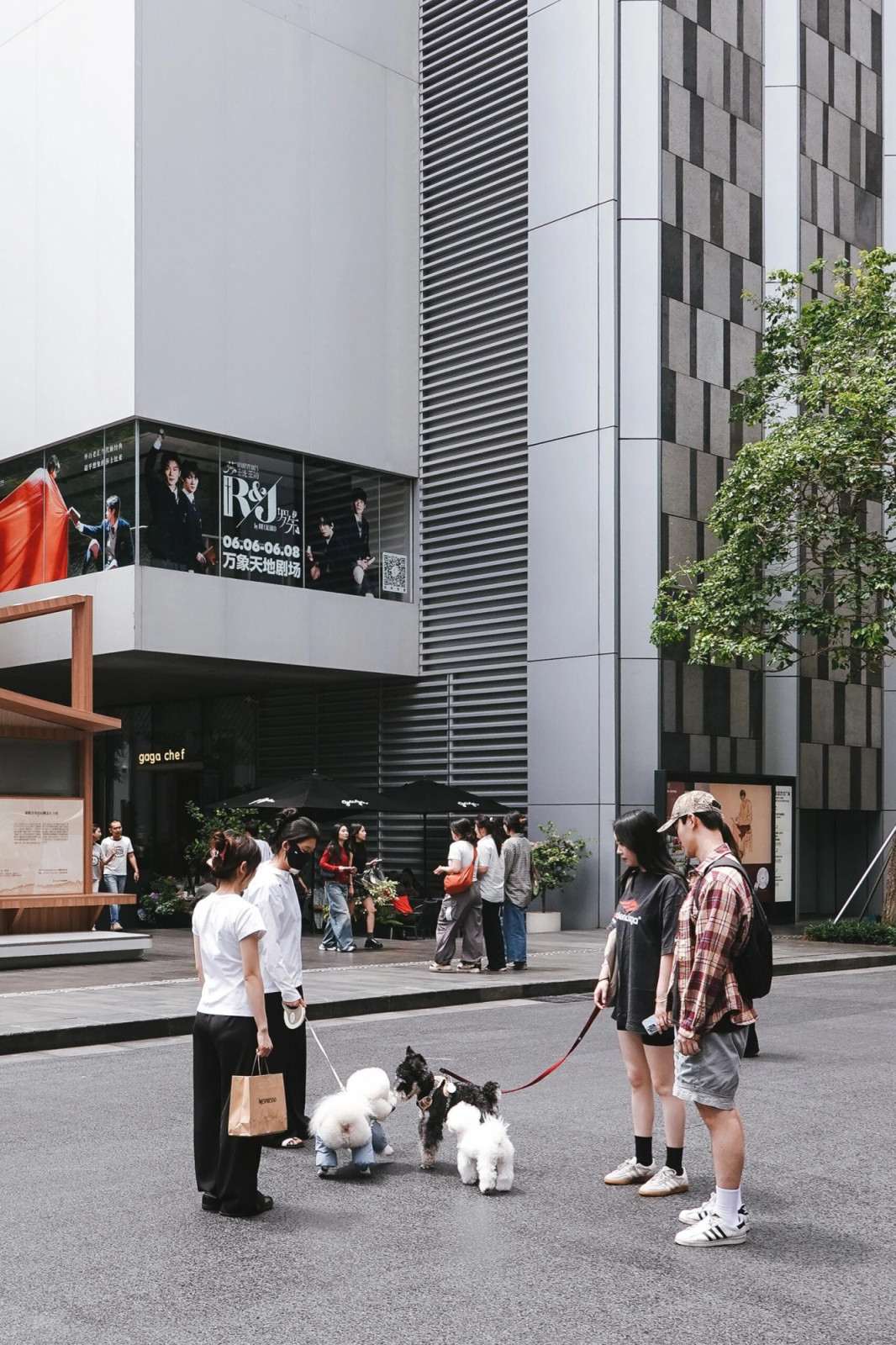 Shenzhen’s modern retail developments trade traditional enclosed layouts for open-air, design-forward pedestrian avenues. (Photo: Xiaohongshu/@679598533)
