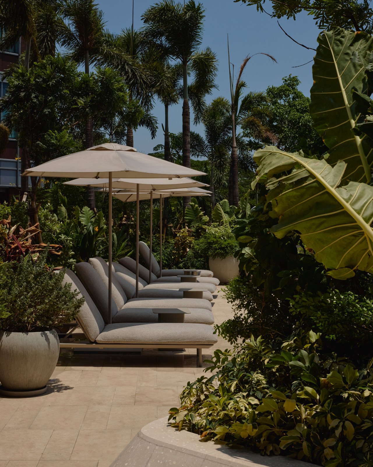Shaded poolside lounges in the outdoor amenity deck at Aurelia Residences in Bonifacio Global City, Manila