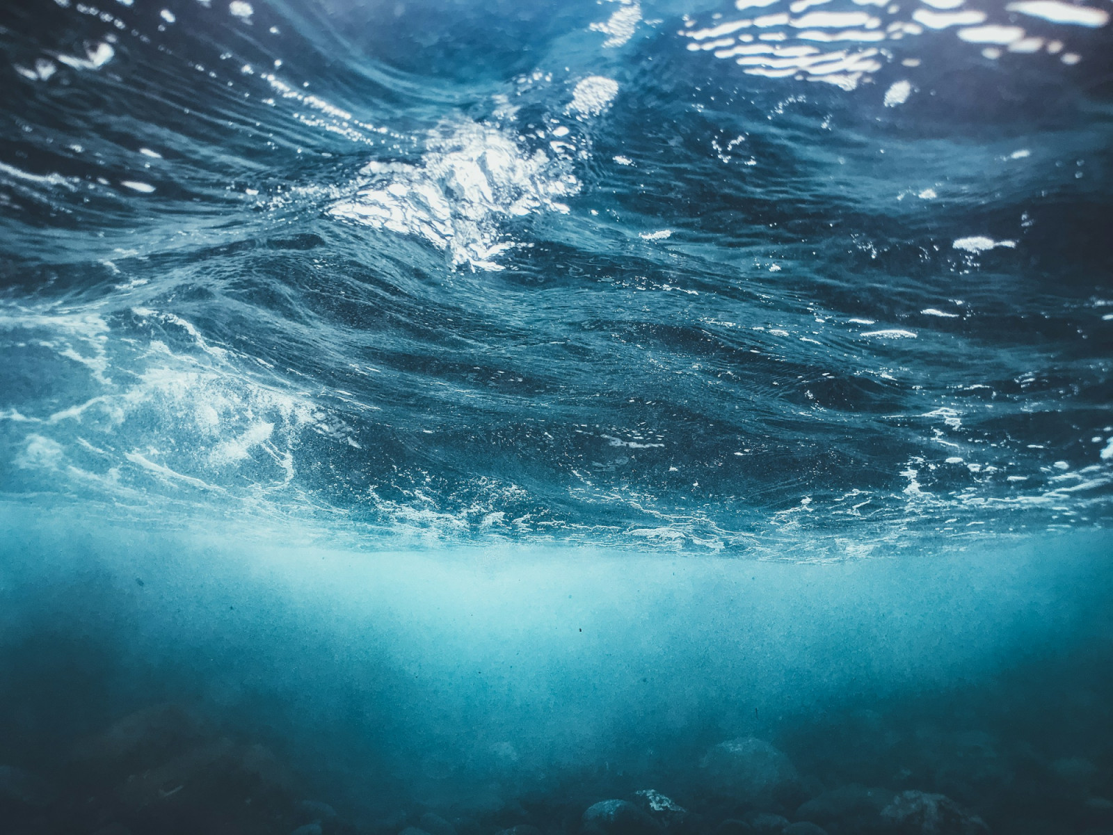Water itself may be scentless, but the atmosphere surrounding it has defined a generation of modern scent design. We look at the dry mineral profiles and damp wood notes in aquatic perfumes that recreate the natural elements on the skin (Photo: Naja Bertolt Jensen on Unsplash)