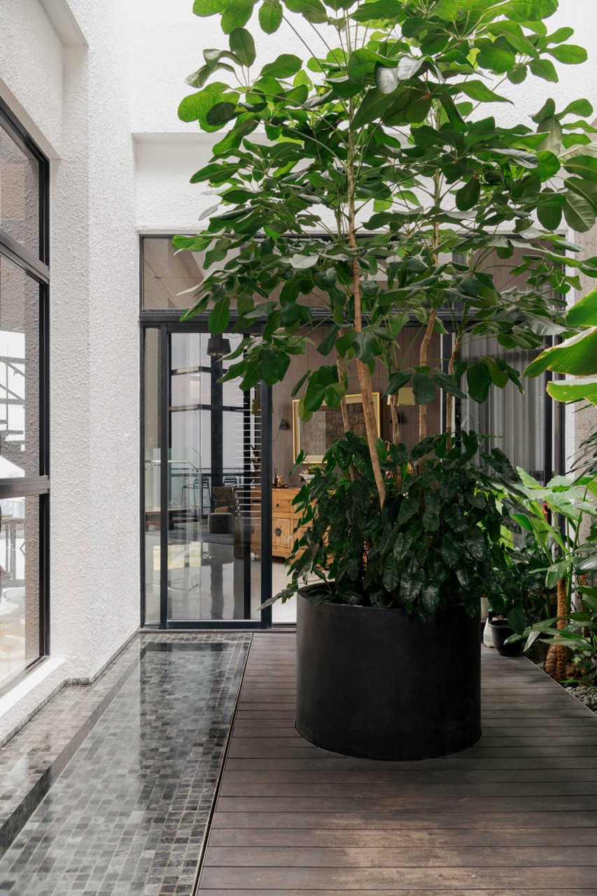 The landscaped internal courtyard features layered planting and a water feature set on timber decking